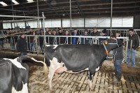 big_28459649_0_200-133