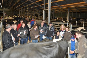 big_32094378_0_300-199