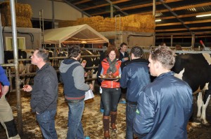 big_32094381_0_300-199