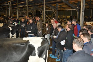 big_32094382_0_300-199